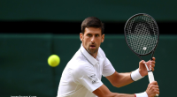 How Many Wimbledon Titles Does Novak Djokovic Have?