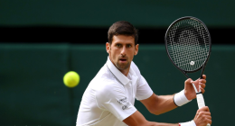 How Many Wimbledon Titles Does Novak Djokovic Have?