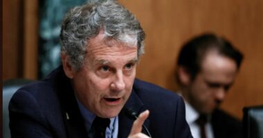 Former Congressman Sherrod Brown Net Worth