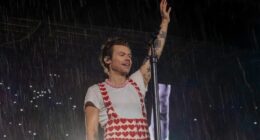 Harry Styles Stuns Fans With Surprise Ireland Weekend Getaway