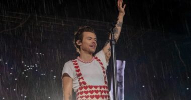 Harry Styles Stuns Fans With Surprise Ireland Weekend Getaway
