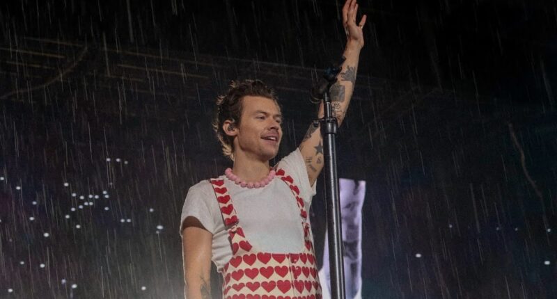 Harry Styles sorprende a sus fans con una escapada sorpresa de fin de semana a Irlanda