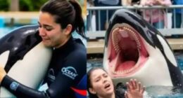 Orca Trainer Jessica Radcliffe Incident: Is She Still Alive