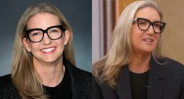 What political Party Does Julie Felss Masino Support