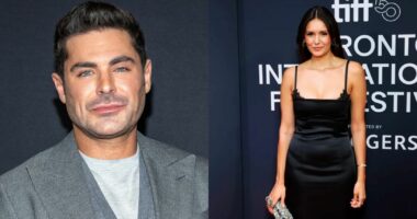 Are Zac Efron and Nina Dobrev Still Single Or Dating?