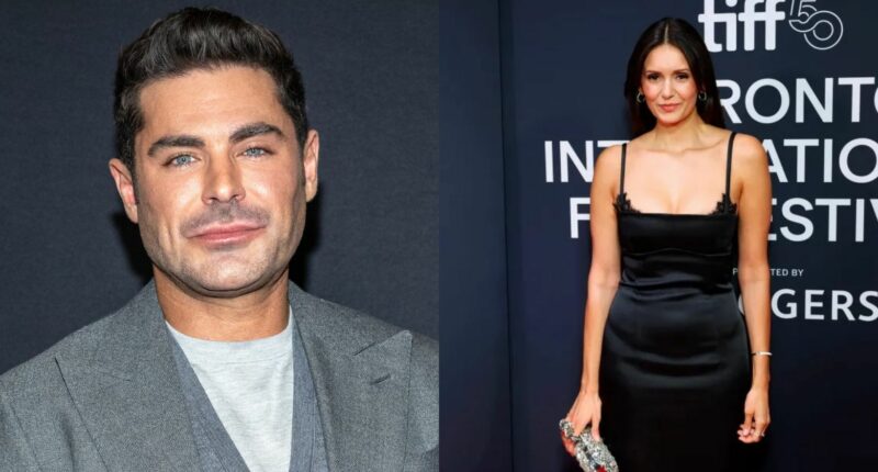 Are Zac Efron and Nina Dobrev Still Single Or Dating?