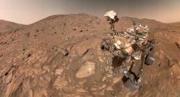 Did NASA Announce Life on Mars With Microbial Life Existing