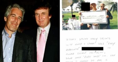 Epstein Birthday Book Reveals Trump Selling Woman Joke