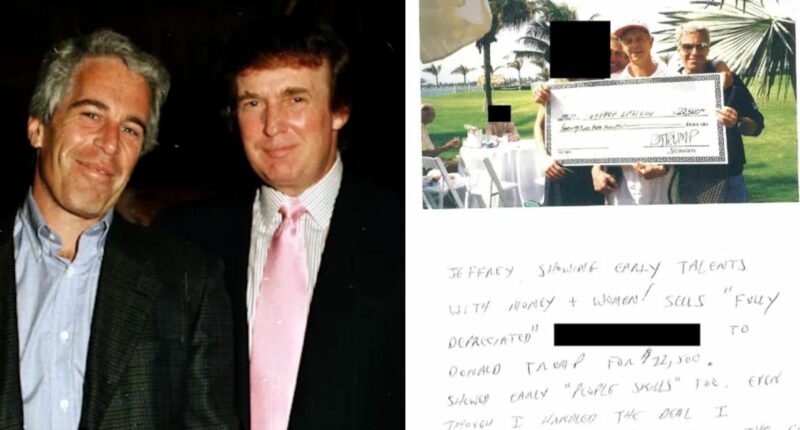 Epstein Birthday Book Reveals Trump Selling Woman Joke