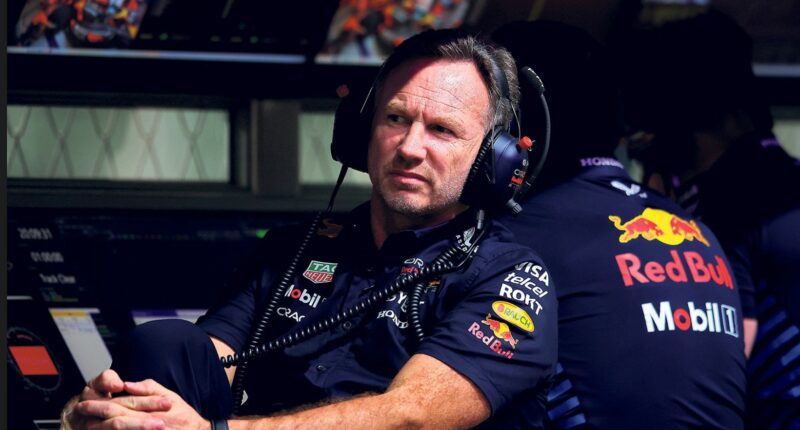 Horner Secures F1 Return Path With Huge Payout