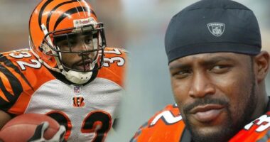 How Much Was Rudi Johnson Net Worth