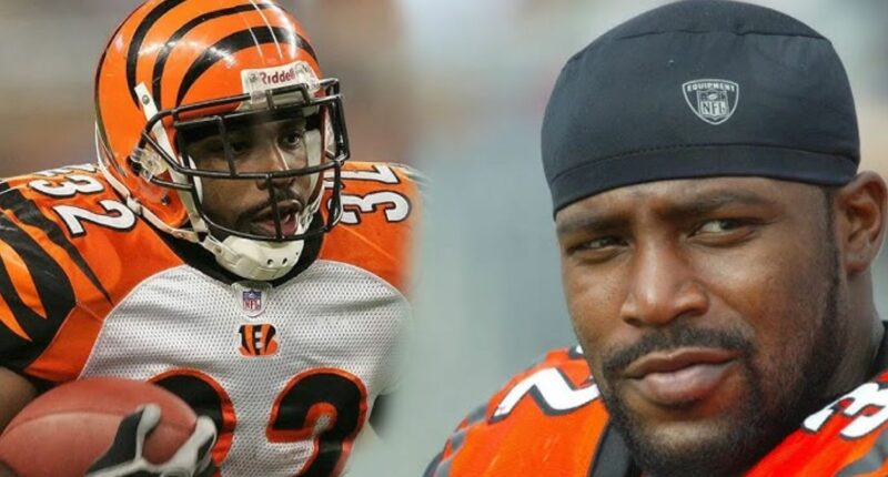 How Much Was Rudi Johnson Net Worth