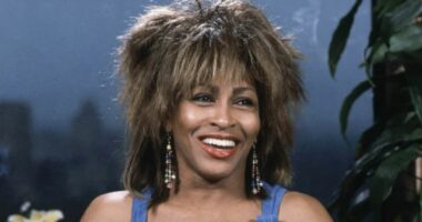 Tina Turner Lost Two Sons: Craig Raymond’s Heartbreaking Suicide Revealed