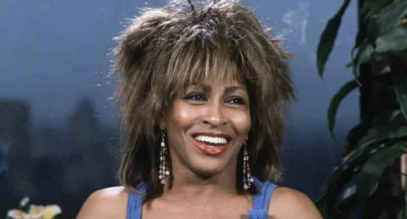 Tina Turner Lost Two Sons: Craig Raymond’s Heartbreaking Suicide Revealed