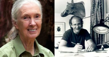 What Happened With Cartoonist Gary Larson and Jane Goodall