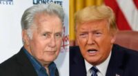 Why Did Veteran Actor Martin Sheen Criticize President Donald Trump