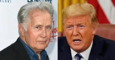 Why Did Veteran Actor Martin Sheen Criticize President Donald Trump