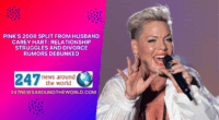 Pink's 2008 Split From Husband Carey Hart: