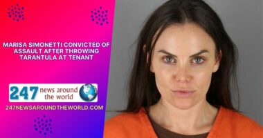 Marisa Simonetti Convicted of Assault After Throwing Tarantula at Tenant