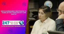 Maya Hernandez Sentenced 15 Years After Toddler Hot Car Death