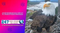 jackie big bear eagle dies at 14 cause of death