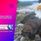 jackie big bear eagle dies at 14 cause of death