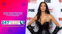 Nicole Scherzinger Burn Injury Update Her Tour Status Revealed