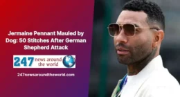 Jermaine Pennant Mauled by Dog: 50 Stitches After German Shepherd Attack