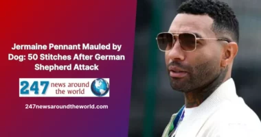Jermaine Pennant Mauled by Dog: 50 Stitches After German Shepherd Attack